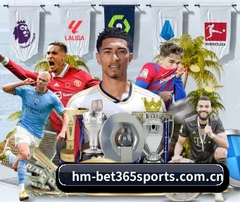 bet365网站 APP
